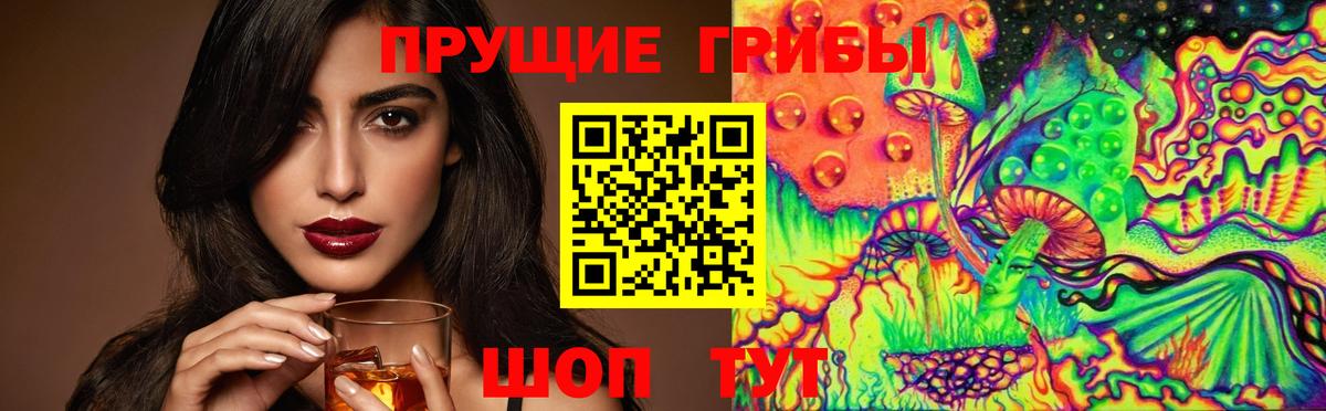 Псилоцибиновые грибы мухоморы  Вход с VPN  Видное  Псилоцибиновые грибы GOLDEN TEACHER 